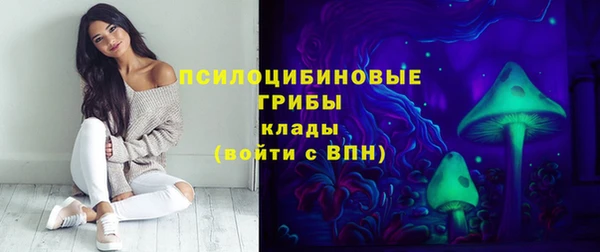 марки lsd Бородино