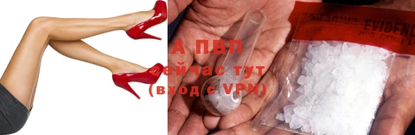 стафф Бронницы