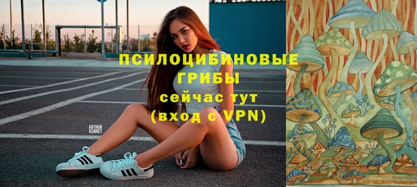 стафф Бронницы