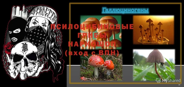 стафф Бронницы