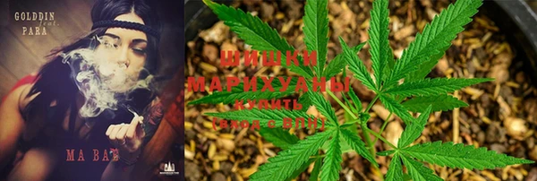 стафф Бронницы